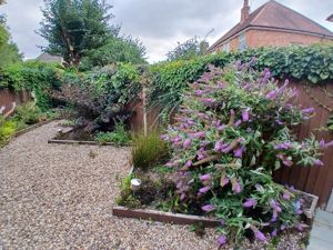 Photo 12- click for photo gallery